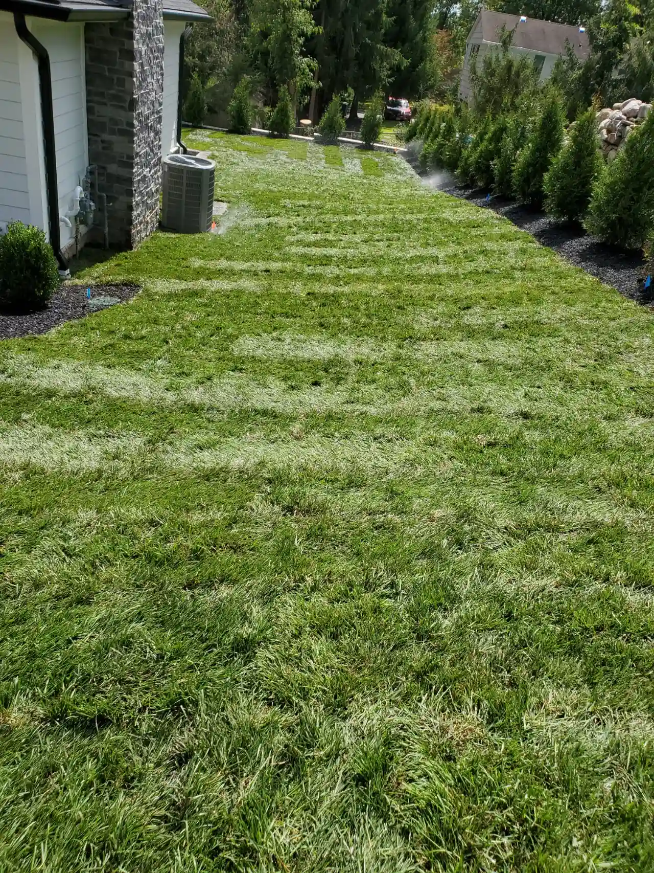 Landscaping in New Jersey