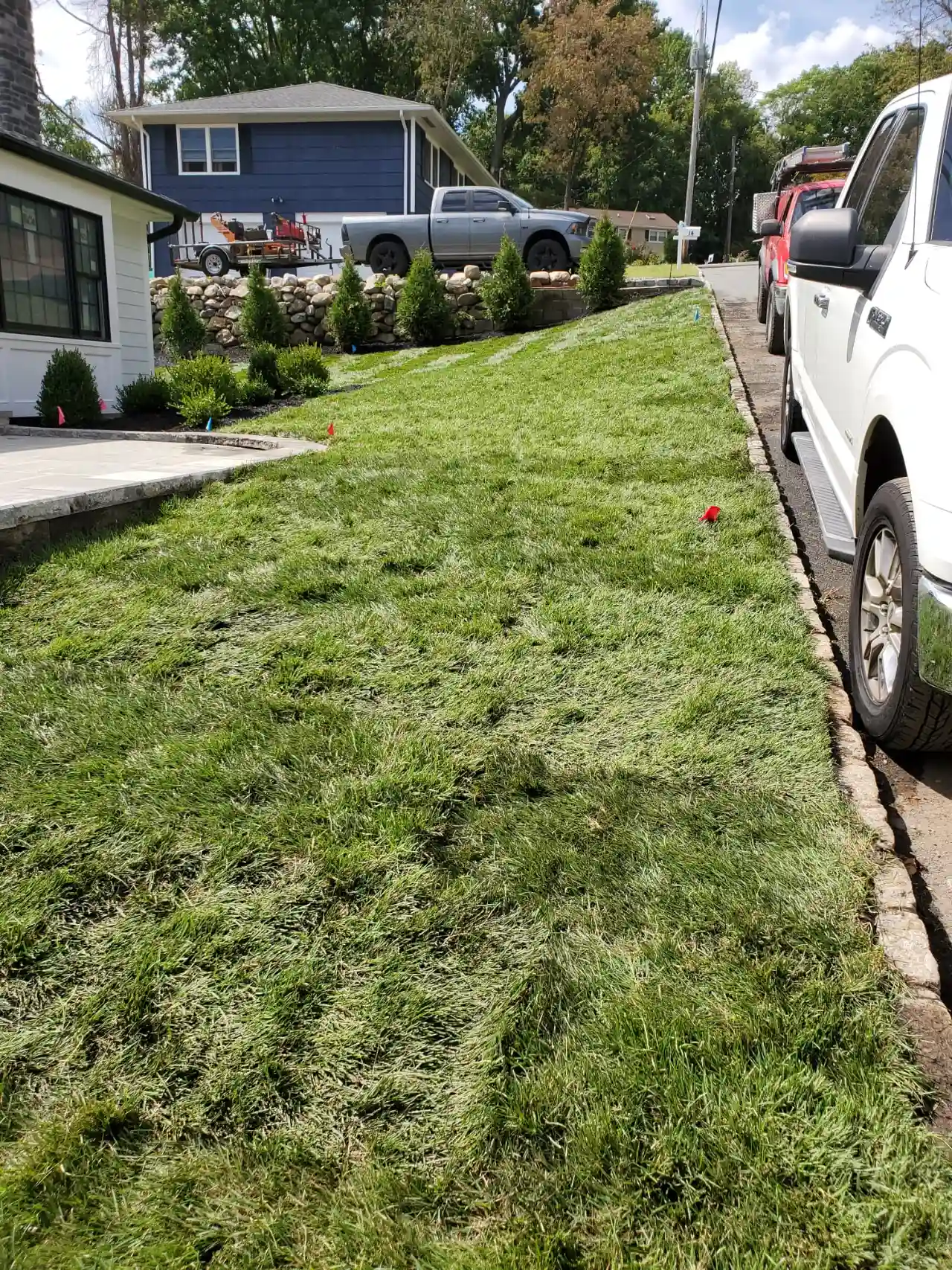 Lawn mowing in New Jersey